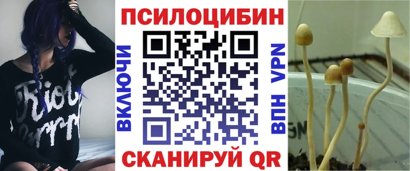 Галлюциногенные грибы мицелий  ссылка на мегу ССЫЛКА  Люберцы 